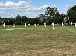 Image result for Sunbury Cricket Club