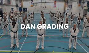 Image result for South Bank Taekwondo