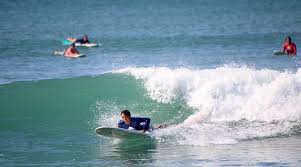 Image result for Freeride Surf School