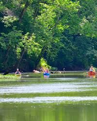 Image result for Canoe Lake Bowling Association