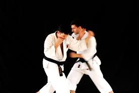 Image result for Peterborough Shorinji Kempo Club