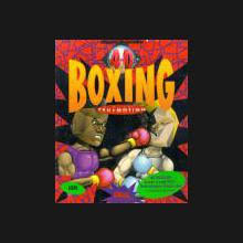 Image result for 4D Sports Boxing