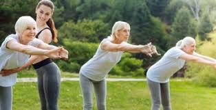 Image result for Yeovil Bowls Club