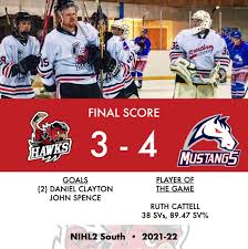 Image result for Streatham Youth Ice Hockey Club