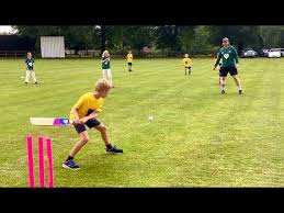 Image result for Chew Magna Cricket Club