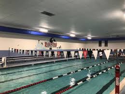 Image result for Grimsby Penguins Swimming Club