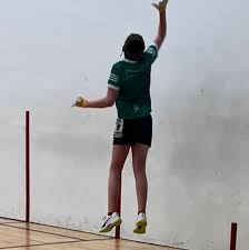 Image result for Ashford Tanners Handball Club