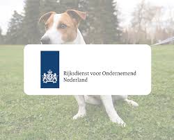 Image result for    ^   u   b N