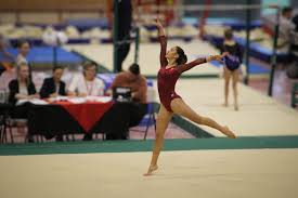 Image result for Ingleby Gymnastics Club