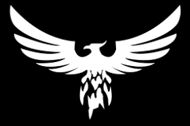 Image result for Wilmslow Lacrosse Club