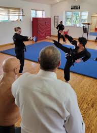 Image result for Get Into Martial Arts