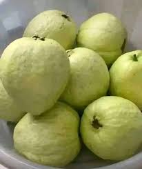 Image result for pheega