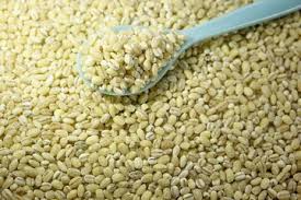 Attēlu rezultāti vaicājumam “Hordeum vulgare fruit”