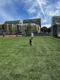 Image result for Denby Dale Tennis Club