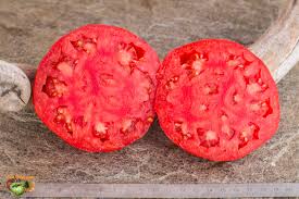 Afbeeldingsresultaat voor millionaire tomato