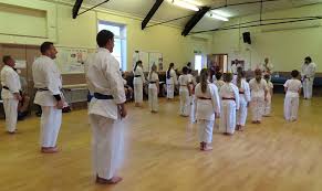 Image result for Burnham Karate Club