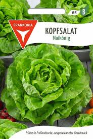 Image result for Kopfsalat