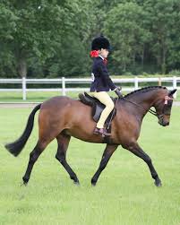 Image result for Stoneleigh Riding Club