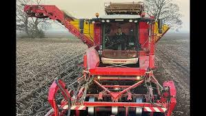 Image result for gepetto tehron