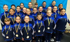 Image result for Harnham Gymnastics Club
