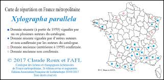 Attēlu rezultāti vaicājumam “Xylographa paralella”