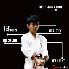 Image result for Hale Barns Dojo