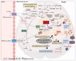 Image result for BCKA