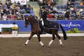 Image result for Interfreestyle Sport Karate