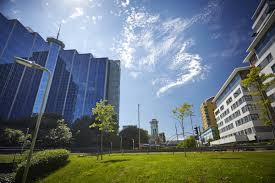 Image result for Basingstoke