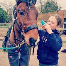 Image result for Lower Farm Stables