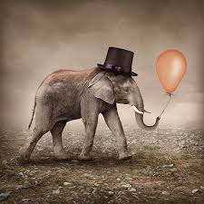 Image result for sad elephant