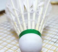 Image result for Alfold Stoolball Club