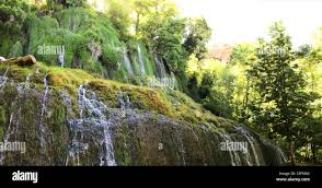 「parque los chor」の画像検索結果