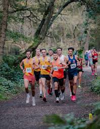 Image result for Hercules Wimbledon A C