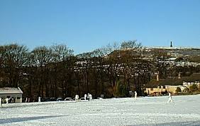 Image result for Brooksbottom Cc