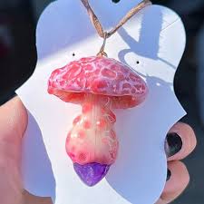 Attēlu rezultāti vaicājumam “Rhodotus palmatus”