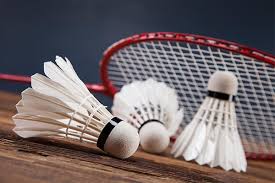 Image result for Friday Badminton mixed Doubles[Redhill,Surrey]