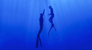 Image result for Notanx Freedive Club