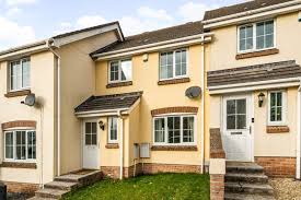 Image result for Newton Abbott Knights