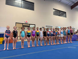 Image result for The Academy Of Gymnastics Portishead