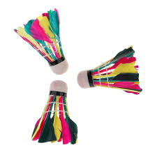 Image result for Shuttlecocks Badminton Club