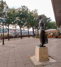 Image result for pálpusztai