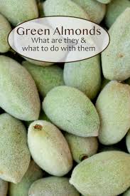 Image result for fresh green almonds