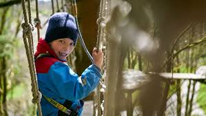 Image result for Go Ape! Dalby