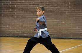 Image result for Shaolin Nam Pai Chuan Kung Fu - Manchester Martial Arts Centre