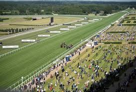 Image result for Oxted Runners