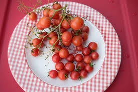 Afbeeldingsresultaat voor rose quartz tomato