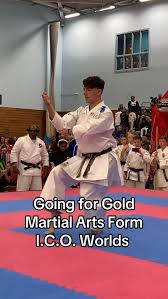 Image result for ENGLISH INTERNATIONAL ALLSTYLES TAEKWONDO