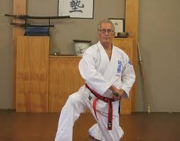 Image result for Aylesbury Vale Seido Karate
