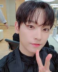 「ルーリック・スヴェインソン・スヴァルトヘイズ」の画像検索結果